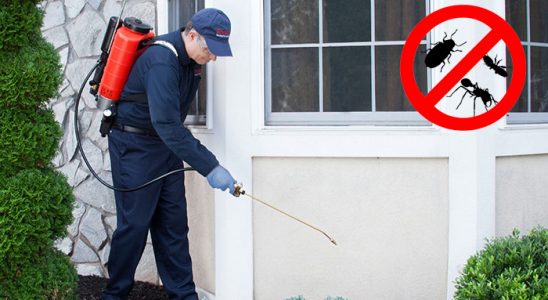 Afşin Karınca İlaçlama böcek ilaçlama ve haşere kontrolü — ilaclama-tr.com